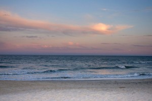 Chincoteague 4